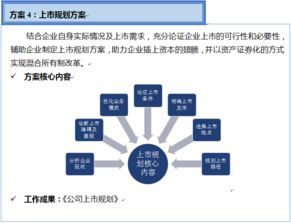 双百行动 咨询服务产品手册