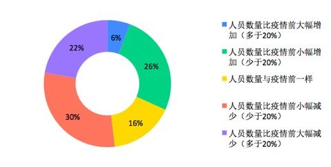 软件开发团队2020年度经营状况报告